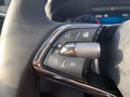 Daumennagel 14 - Skoda Karoq 2.0 TDI Tour Matrix, Kessy, Panorama