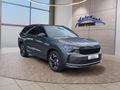Daumennagel 7 - Skoda Kodiaq Sportline 2,0TDI DSG 4x4 AHK/4*J.Gar/Navi/el.Klappe/Kamera **