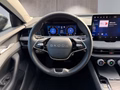 Daumennagel 12 - Skoda Superb Combi 2,0TDI DSG Navi/DCC/ACC/Kamera/Sitzhz.