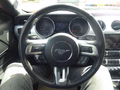 Daumennagel 15 - Ford Mustang GT Fastback aus 1. Hand