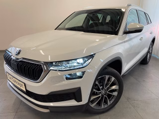 Skoda Kodiaq Tour 2.0 TDI 4x4 AHK StHz 19" Kamera