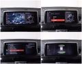 Daumennagel 16 - BMW X2 sDrive 18 i Advantage Plus LED NAVI GRA AHK