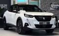 Daumennagel 1 - Peugeot 2008 GT Pack SHZ|180°|NAVI|ALCANTARA|ACC|SPUR|CARPLAY
