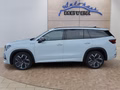 Daumennagel 2 - Skoda Kodiaq Sportline 2,0TDI 4x4 aAHK/20*Alu/Matrix/Navi/ACC/el.Klappe  **