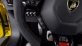 Daumennagel 31 - Lamborghini Huracan EVO CAPSULE KAM LIFT SENSONUM SERVICE NEW