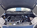 Daumennagel 19 - DS Automobiles DS 7 Étoile Tech+Comfort Paket+AHK