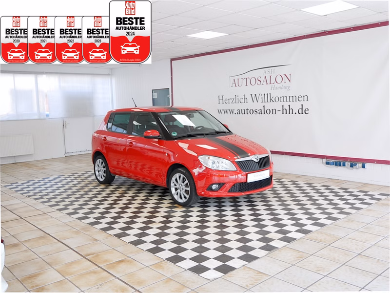Skoda Fabia Best of*2Vorb*Steuerkette NEU*Sitzh.*Servicegep
