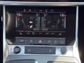 Daumennagel 23 - Audi A6 Allroad quattro 55 TFSI HUD/LED/LEDER/RFK