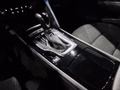 Daumennagel 20 - Opel Insignia B Sports Tourer |5 JAHRE GARANTIE|R-CAM|