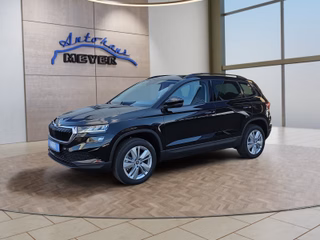 Skoda Karoq age.one-day registration Kaufen