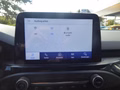 Daumennagel 17 - Ford Focus Turnier ST-Line