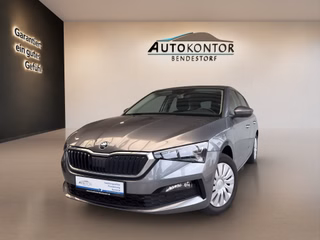 Skoda Scala Gebrauchtwagen Kaufen