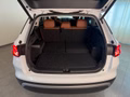 Daumennagel 10 - Skoda Kodiaq 2.0 TDI 4x4 Selection 7 SITZE LEDER PANO