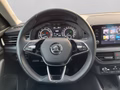 Daumennagel 14 - Skoda Kamiq 1.0 TSI Ambition
