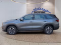 Daumennagel 3 - Skoda Kodiaq 1.5TSI mHEV Navi/Kamera/LED/el.Klappe/Kessy  **