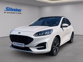 Ford Kuga Gebrauchtwagen Kaufen