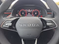 Daumennagel 26 - Skoda Kamiq Monte Carlo 1,5TSI DSG AHK/Matrix/el.Klappe