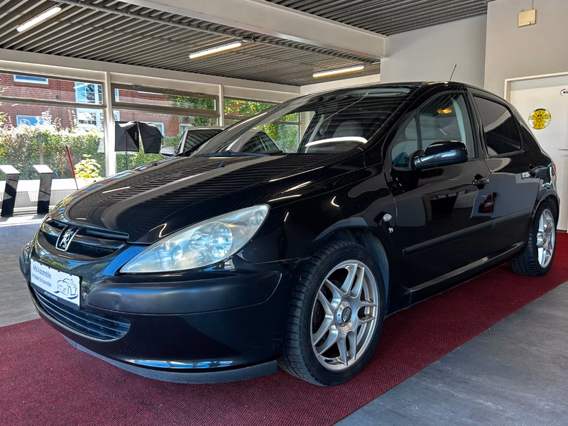 Peugeot 307 Grande Filou Cool TÜV 04/2025