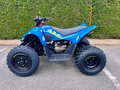 Daumennagel 4 - CFMOTO CFORCE 110 *Kinderquad*
