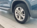 Daumennagel 43 - Skoda Kodiaq Style |Standheizung|LED|Kamera|SHZ|CarPlay|