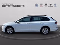 Daumennagel 10 - Volkswagen Golf Variant 1.0 Life eTSI DSG ACC+PDC+AppConnec
