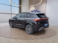 Daumennagel 3 - CUPRA Terramar 1.5 eTSI DSG ACC/Kessy/el.Klappe/Winterp. **