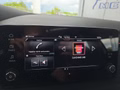 Daumennagel 29 - Skoda Kamiq Monte Carlo 1,5TSI DSG 5*J.Gar/Kessy/Matrix/Winterp/Kamera