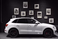 Daumennagel 37 - Audi Q5 S-LINE/PANO/BANG OLUFSEN/PREMIUM PLUS