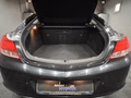 Daumennagel 8 - Opel Insignia A 150 Jahre Opel|LEDER|NAVI|LM FELGEN