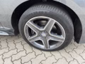 Daumennagel 8 - Mercedes-Benz GLE 350 d AMG Line 4Matic