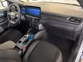 Daumennagel 5 - Ford Kuga FHEV Hybrid ST-Line