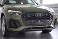 Daumennagel 6 - Audi Q5 40 TDI quattro S line  AUT NAV LED AHK