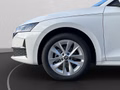 Daumennagel 12 - Skoda Octavia Combi 2.0 TDI DSG Selection, LED, PDC, ACC, Navi, AHK, ...