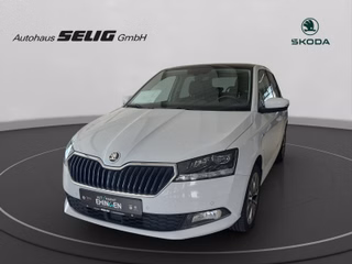 Skoda Fabia III 1.0 TSI Best of Clever, ACC, Alu, LED, Glasdach, ...