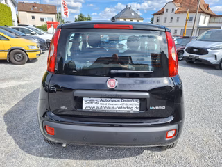 Fiat Panda Pandina Pop 1.0 Hybrid | Klima | PDC | Tempomat - bilder 2