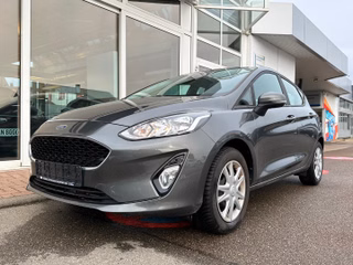 Ford Fiesta Gebrauchtwagen Kaufen