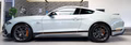 Daumennagel 8 - Ford Mustang Mach 1 MagneRide StylingPaket