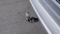 Daumennagel 10 - Audi A6 3.0 TDI QUATTRO ACC PANO HUD TOT SPUR AHK