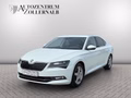 Daumennagel 1 - Skoda Superb Lim. 1.8 TSI DSG *ACC*CANTON*AHK*STDHZG*