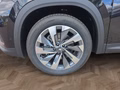 Daumennagel 15 - Skoda Kodiaq 2,0TSI DSG 4x4 aAHK/7-Sitzer/Matrix/Navi/el.Klappe   **