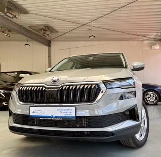 Skoda Karoq Gebrauchtwagen Kaufen