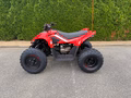 Daumennagel 3 - CFMOTO CFORCE 110 *Kinderquad*
