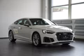 Daumennagel 5 - Audi S5 Sportback 3.0 TDI quattro MATRIX