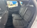 Daumennagel 16 - Ford Kuga Plug-In Hybrid Titanium - Fahrer Assist. Paket - Winter P. - Top