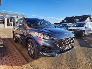 Ford Kuga ST-Line X /Head-Up/ACC/Bang&Olufsen - bilder 7