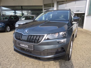 Skoda Karoq 1.6 TDI 7-Gang DSG Style,AHK,PDC,Kessy,SH,DAB,Smartlink+