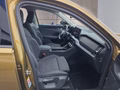 Daumennagel 15 - Skoda Kodiaq 2,0TSI DSG 4x4 aAHK/7-Sitzer/Matrix/Navi/el.Klappe **