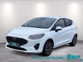 Daumennagel 1 - Ford Fiesta 1.0 EcoBoost Hybrid S&S TITANIUM Winter