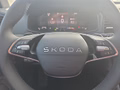 Daumennagel 21 - Skoda Karoq 1,5TSI DSG aAHK/ACC/Kamera/Winterp.       **