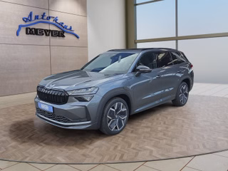 Skoda Kodiaq age.one-day registration Kaufen